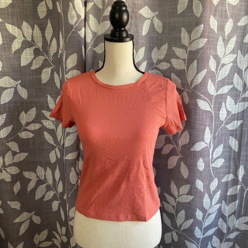 Cropped Rib Knit T-Shirt